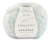 Casiopea цвет 53
